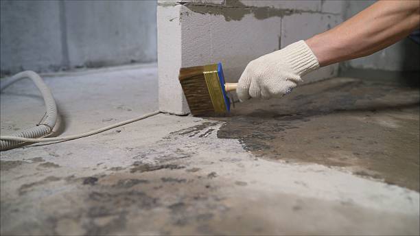 24/7 Emergency Wet Basement Repair experts in Pigeon Forge, TN